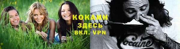 ПСИЛОЦИБИНОВЫЕ ГРИБЫ Алзамай