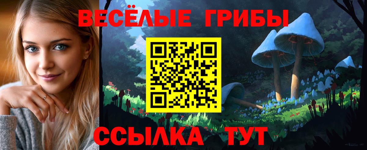 Качканар  Псилоцибиновые грибы Cubensis  Вход с VPN  Псилоцибиновые грибы мухоморы 