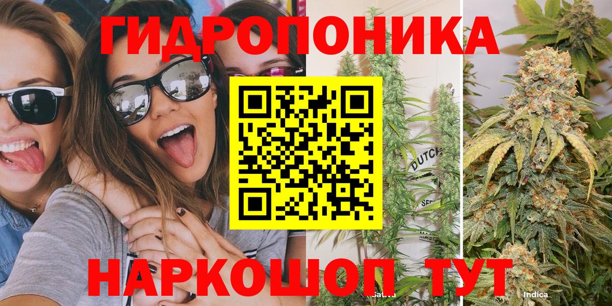 Шишки марихуана VHQ  Вход с VPN  МАРИХУАНА индика  МАРИХУАНА White Widow  Качканар 